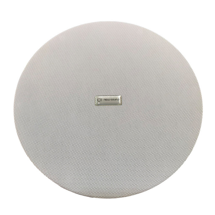 بلندگو سقفی مدل 6.5INCH کد BS1